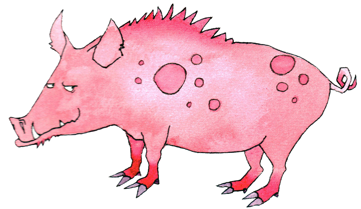 Astrología China | Cerdo