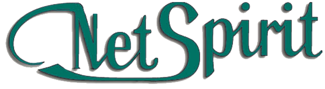 Logo Netspirit